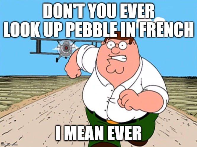Don't or your life will be ruined | DON'T YOU EVER LOOK UP PEBBLE IN FRENCH; I MEAN EVER | image tagged in peter griffin running away | made w/ Imgflip meme maker