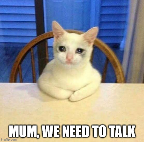 Crying cat on table | MUM, WE NEED TO TALK | image tagged in crying cat on table | made w/ Imgflip meme maker