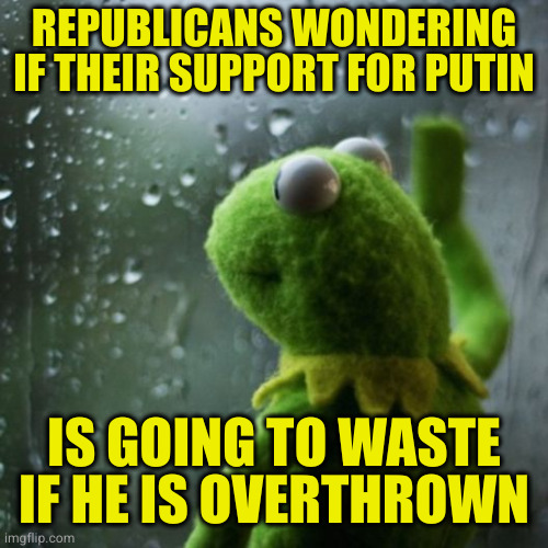 Remember, Putin also hacked the GOP servers when he attacked Clinton's. But for some reason never released that info. | REPUBLICANS WONDERING IF THEIR SUPPORT FOR PUTIN; IS GOING TO WASTE IF HE IS OVERTHROWN | image tagged in sometimes i wonder | made w/ Imgflip meme maker