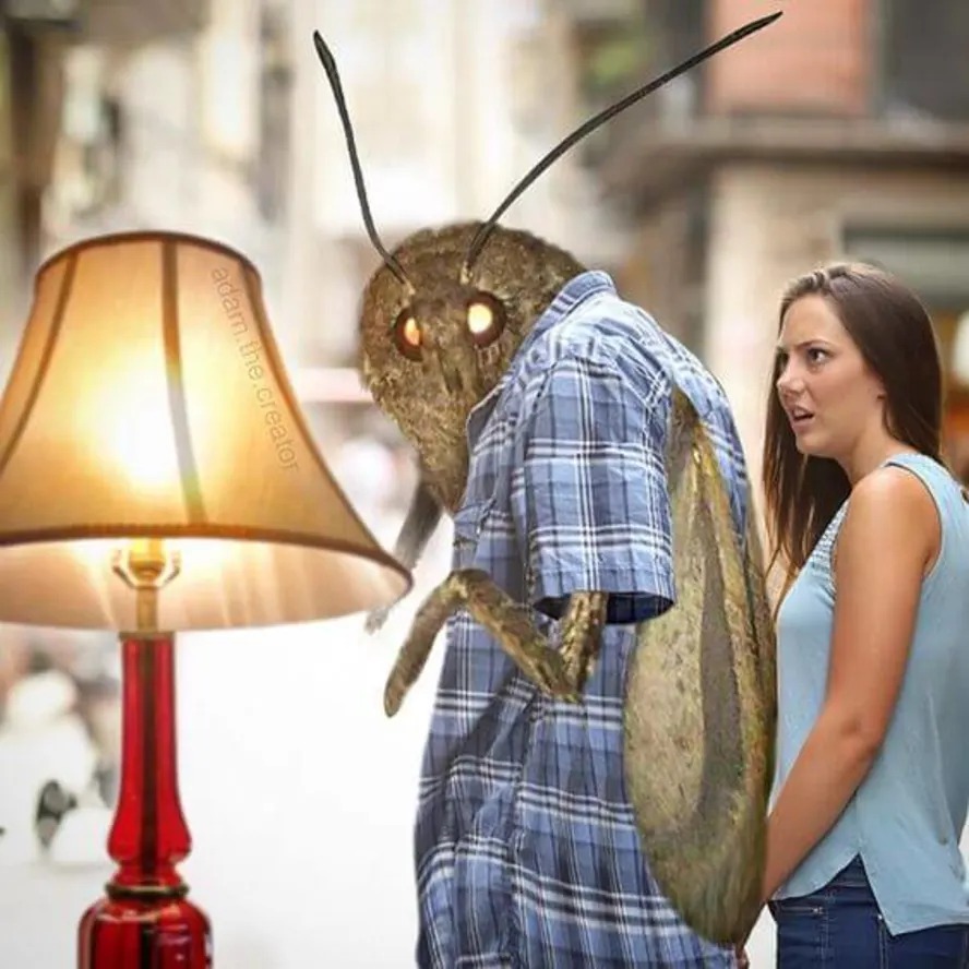 High Quality Distracted Moth Blank Meme Template
