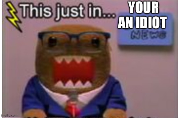 This is just in | YOUR AN IDIOT | image tagged in this is just in | made w/ Imgflip meme maker