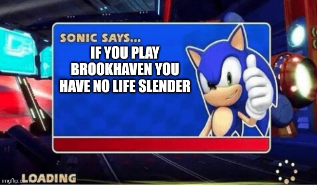 Brookhaven players: | IF YOU PLAY BROOKHAVEN YOU HAVE NO LIFE SLENDER | image tagged in sonic says | made w/ Imgflip meme maker