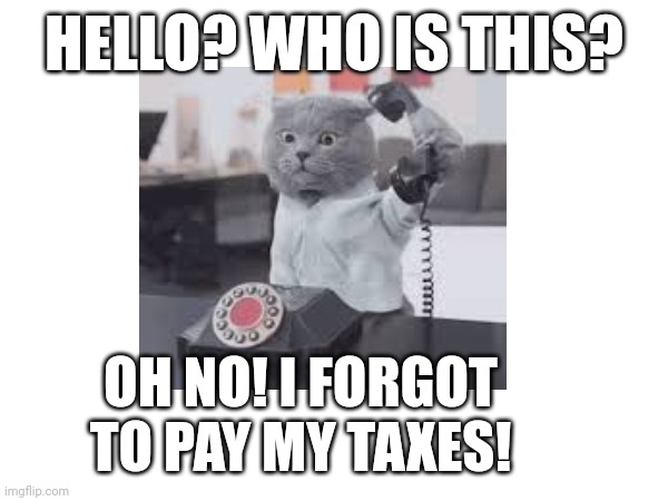 Me When I Forget to Pay my Taxes | HELLO? WHO IS THIS? OH NO! I FORGOT TO PAY MY TAXES! | image tagged in funny | made w/ Imgflip meme maker