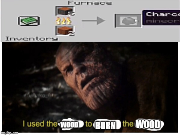 i use the wood to burn the wood | WOOD; WOOD; BURN | made w/ Imgflip meme maker