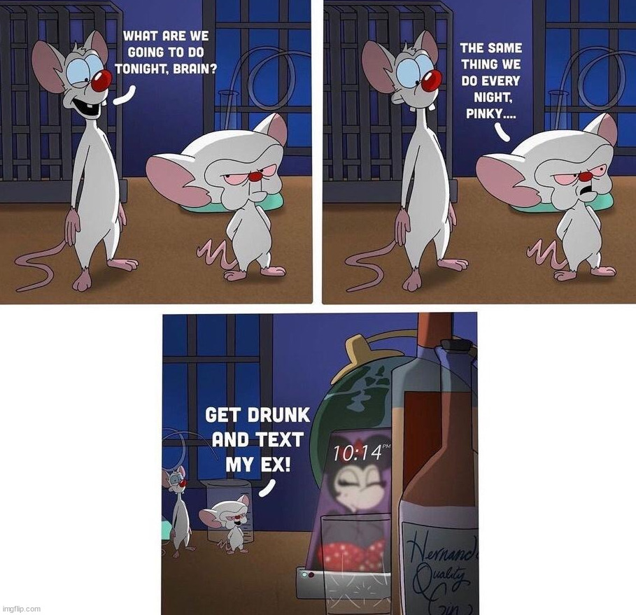 Pinky and the Brain | image tagged in cartoon | made w/ Imgflip meme maker