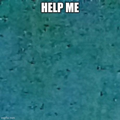 help me plz | HELP ME | image tagged in help me plz | made w/ Imgflip meme maker