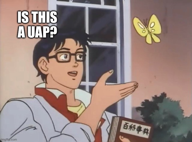 Is this a bird? | IS THIS A UAP? | image tagged in is this a bird | made w/ Imgflip meme maker