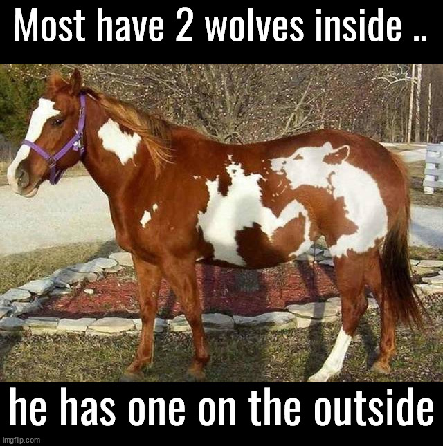 Tale of the Two Wolves: Which One Are You Feeding? | Most have 2 wolves inside .. he has one on the outside | image tagged in wolves,totally looks like,sayings,optical illusion | made w/ Imgflip meme maker