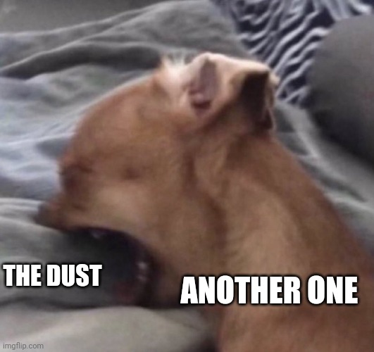 Another one bites the dust | THE DUST; ANOTHER ONE | image tagged in memes | made w/ Imgflip meme maker