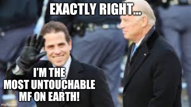 EXACTLY RIGHT…; I’M THE MOST UNTOUCHABLE MF ON EARTH! | image tagged in joe biden,hunter biden,republicans,donald trump | made w/ Imgflip meme maker