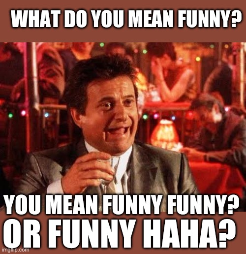 Joe Pesci Goodfellas | YOU MEAN FUNNY FUNNY? WHAT DO YOU MEAN FUNNY? OR FUNNY HAHA? | image tagged in joe pesci goodfellas | made w/ Imgflip meme maker