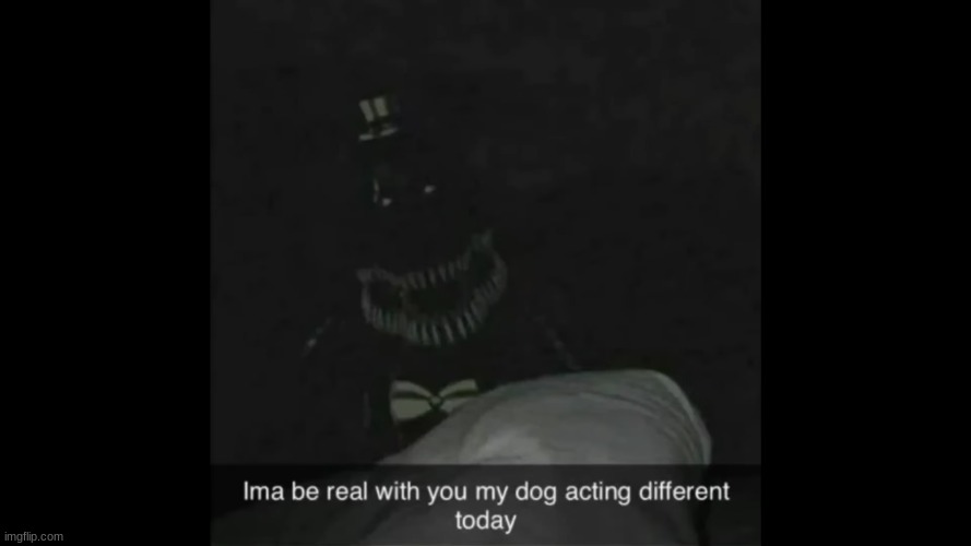 My dog is acting different | made w/ Imgflip meme maker