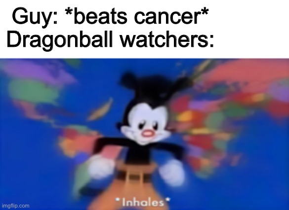 …yeah | Guy: *beats cancer*
Dragonball watchers: | image tagged in yakko inhale | made w/ Imgflip meme maker