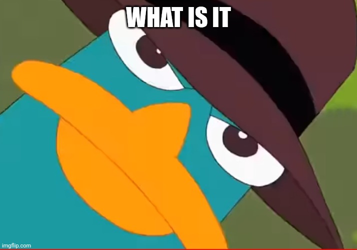 Perry looks at you | WHAT IS IT | image tagged in perry looks at you | made w/ Imgflip meme maker