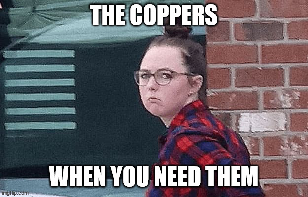 Copper | THE COPPERS; WHEN YOU NEED THEM | image tagged in copper | made w/ Imgflip meme maker