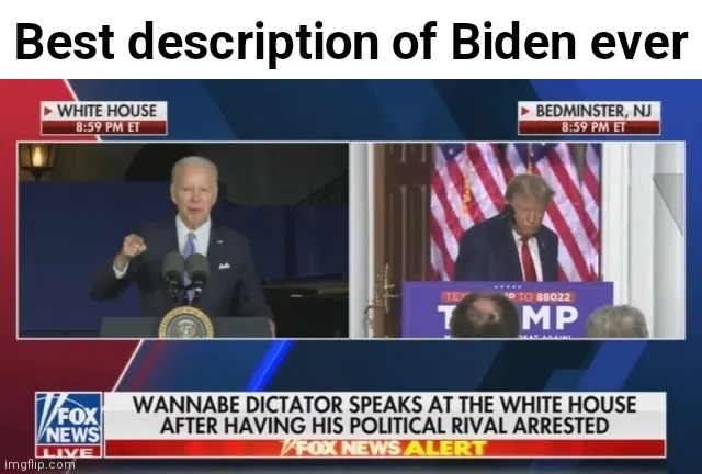 Fax or cap? | Best description of Biden ever | image tagged in wannabe dictator biden,msmg | made w/ Imgflip meme maker