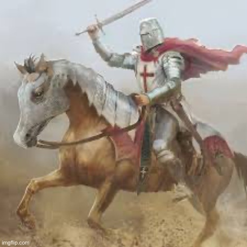 Brave crusader | image tagged in brave crusader | made w/ Imgflip meme maker