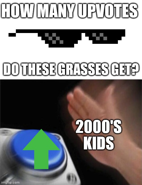 Hope that this is going to be relatable | HOW MANY UPVOTES; DO THESE GRASSES GET? 2000'S
KIDS | image tagged in memes,blank nut button,relatable,2000s | made w/ Imgflip meme maker