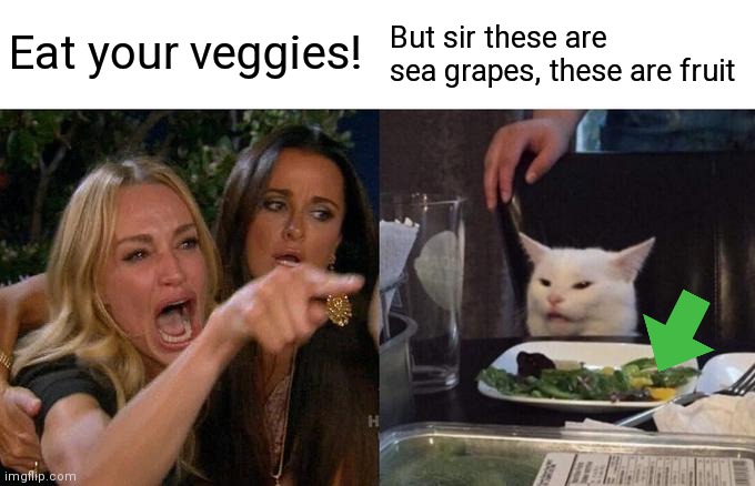 Sea grapes are real | Eat your veggies! But sir these are sea grapes, these are fruit | image tagged in memes,woman yelling at cat,sea,grapes | made w/ Imgflip meme maker