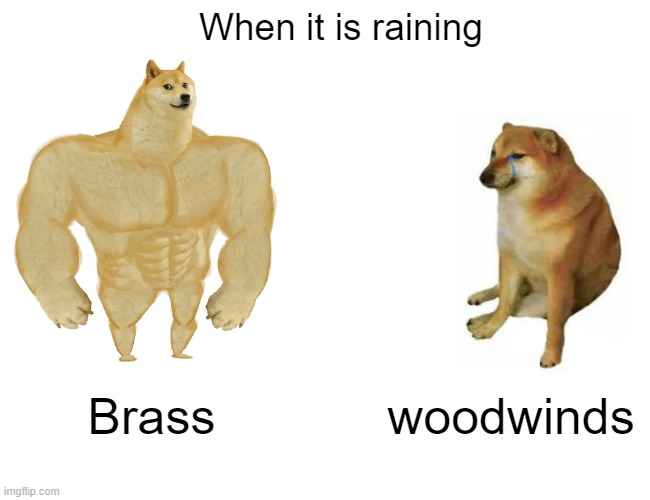 sad | When it is raining; Brass; woodwinds | image tagged in memes,buff doge vs cheems | made w/ Imgflip meme maker