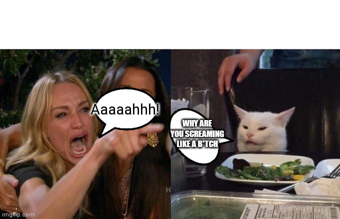 Woman Yelling At Cat | Aaaaahhh! WHY ARE YOU SCREAMING LIKE A B*TCH | image tagged in memes,woman yelling at cat | made w/ Imgflip meme maker