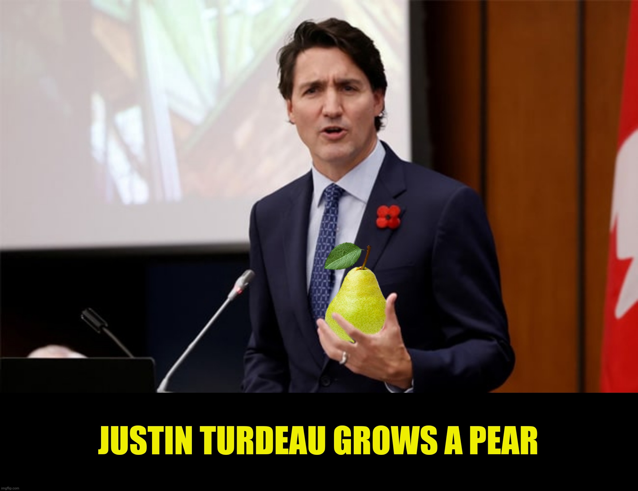 Bad Photoshop Sunday presents:  "A Nice Pear" (Submission suggested by VinceVance) | JUSTIN TURDEAU GROWS A PEAR | image tagged in bad photoshop sunday,justin trudeau,a nice pear | made w/ Imgflip meme maker