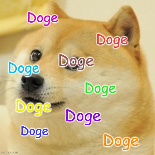 Doge | Doge; Doge; Doge; Doge; Doge; Doge; Doge; Doge; Doge | image tagged in memes,doge,ddoge,dooge,dogge | made w/ Imgflip meme maker