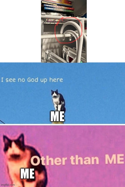 ? | ME; ME | image tagged in hail pole cat | made w/ Imgflip meme maker