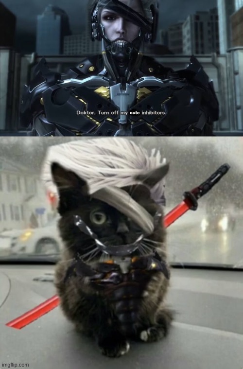 the skrunkly | made w/ Imgflip meme maker