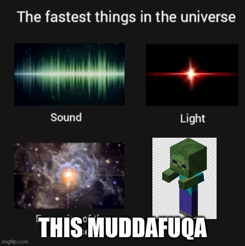 fr tho | THIS MUDDAFUQA | image tagged in fastest things in the universe,fr tho | made w/ Imgflip meme maker
