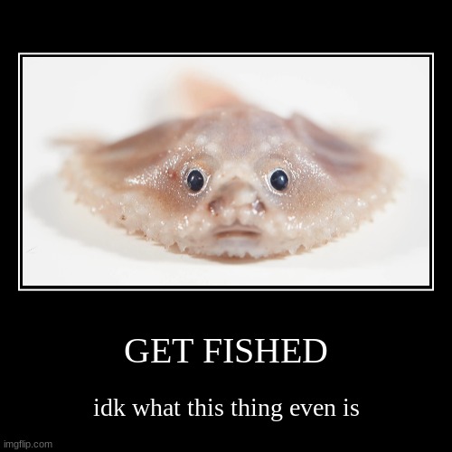 GET FISHED | idk what this thing even is | image tagged in funny,demotivationals | made w/ Imgflip demotivational maker