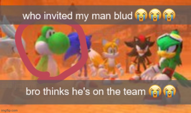 Bruh Thinks He's Part Of The Team | image tagged in sonic,mario,yoshi | made w/ Imgflip meme maker