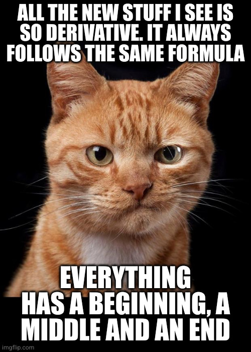 Bottom text dedicated to ThouMayest | ALL THE NEW STUFF I SEE IS
SO DERIVATIVE. IT ALWAYS
FOLLOWS THE SAME FORMULA; EVERYTHING HAS A BEGINNING, A
MIDDLE AND AN END | image tagged in frustrated cat | made w/ Imgflip meme maker
