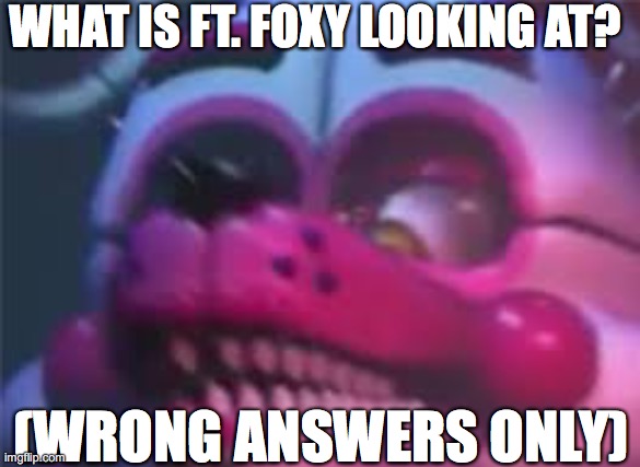 What is she/he/they looking at? | WHAT IS FT. FOXY LOOKING AT? (WRONG ANSWERS ONLY) | image tagged in fnaf,funtime foxy,fnaf sister location | made w/ Imgflip meme maker