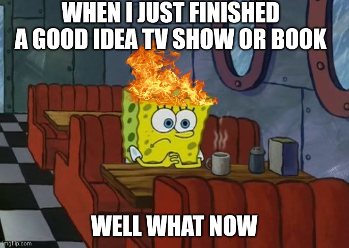 That feeling | WHEN I JUST FINISHED A GOOD IDEA TV SHOW OR BOOK; WELL WHAT NOW | image tagged in sad spongebob | made w/ Imgflip meme maker