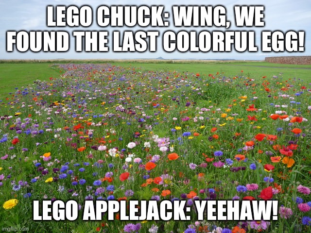 Lego Chuck Chicken Vs Lego Dr Mingo | LEGO CHUCK: WING, WE FOUND THE LAST COLORFUL EGG! LEGO APPLEJACK: YEEHAW! | image tagged in meadow | made w/ Imgflip meme maker