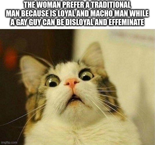 macho man | THE WOMAN PREFER A TRADITIONAL MAN BECAUSE IS LOYAL AND MACHO MAN WHILE A GAY GUY CAN BE DISLOYAL AND EFFEMINATE | image tagged in memes,scared cat | made w/ Imgflip meme maker