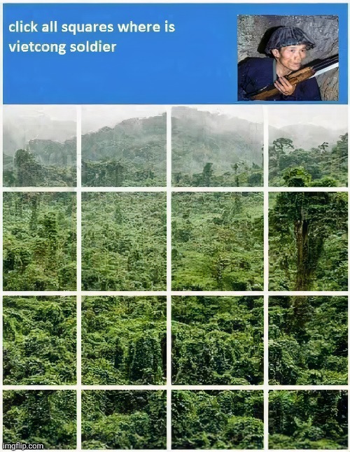 Find the Vietcong solider | image tagged in find the vietcong solider | made w/ Imgflip meme maker