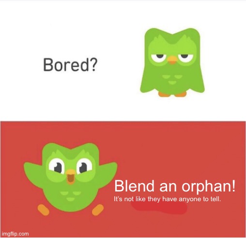DUOLINGO BORED | It’s not like they have anyone to tell. Blend an orphan! | image tagged in duolingo bored | made w/ Imgflip meme maker