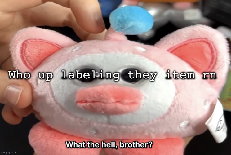 who still up | Who up labeling they item rn | image tagged in what the hell brother | made w/ Imgflip meme maker