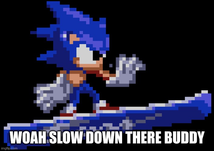 slow down there buddy sonic high quality | WOAH SLOW DOWN THERE BUDDY | image tagged in slow down there buddy sonic high quality | made w/ Imgflip meme maker