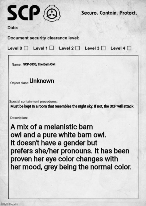 You are sent to interview her, WDYD? No ERP or romance. No killing her. | image tagged in scp document | made w/ Imgflip meme maker