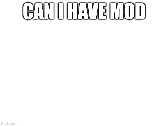 Blank White Template | CAN I HAVE MOD | image tagged in blank white template | made w/ Imgflip meme maker