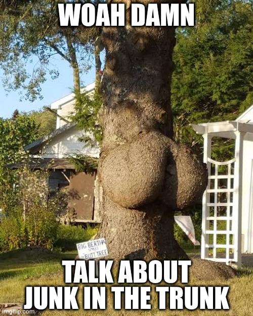 This tree gives me wood | WOAH DAMN; TALK ABOUT JUNK IN THE TRUNK | image tagged in butt tree | made w/ Imgflip meme maker