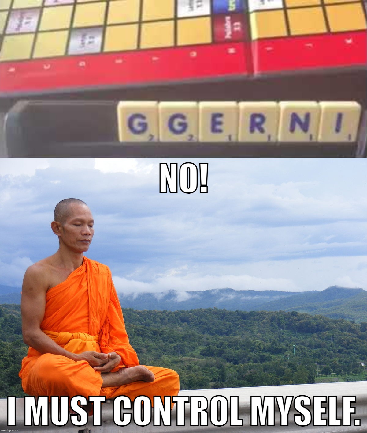 FOCUS! FOCUS! | NO! I MUST CONTROL MYSELF. | image tagged in tibet monk meditating | made w/ Imgflip meme maker