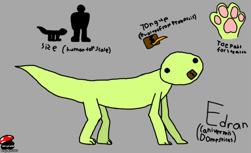 image tagged in edran reference sheet | made w/ Imgflip meme maker