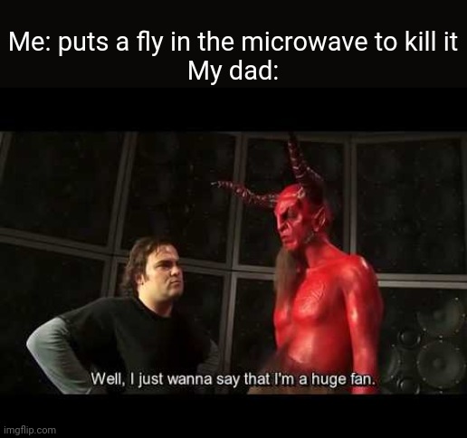 Meme #2,085 | Me: puts a fly in the microwave to kill it
My dad: | image tagged in i just wanna say that i'm a huge fan,memes,summer,flies,fly,funny | made w/ Imgflip meme maker
