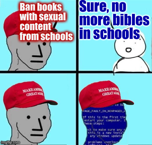 Utah has banned the KJV bible from elementary and middle schools | Sure, no more bibles in schools; Ban books with sexual content from schools | image tagged in npc maga blue screen fixed textboxes | made w/ Imgflip meme maker