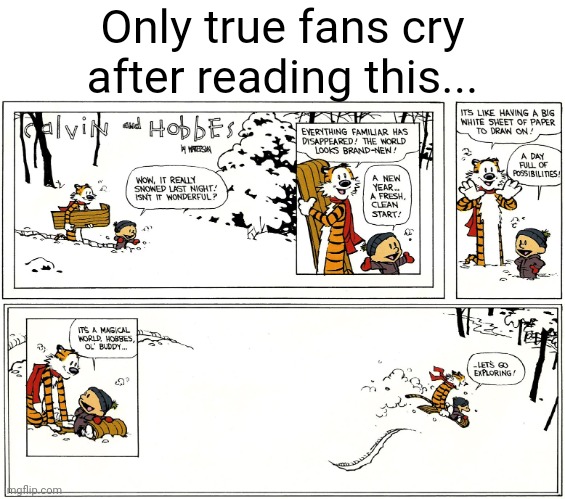 #2,091 | Only true fans cry after reading this... | image tagged in comics/cartoons,comics,calvin and hobbes,finals,last one,sad | made w/ Imgflip meme maker