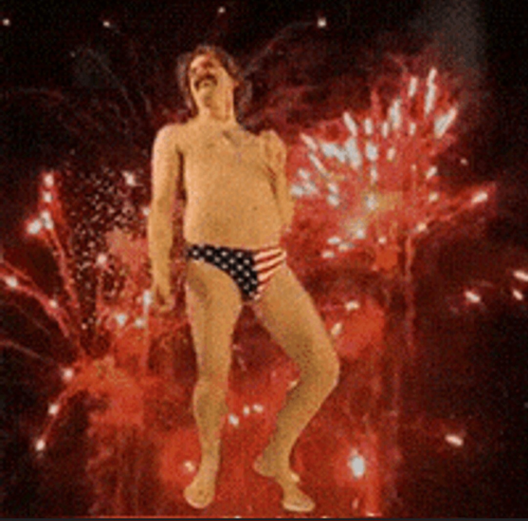 Fireworks celebration Blank Meme Template